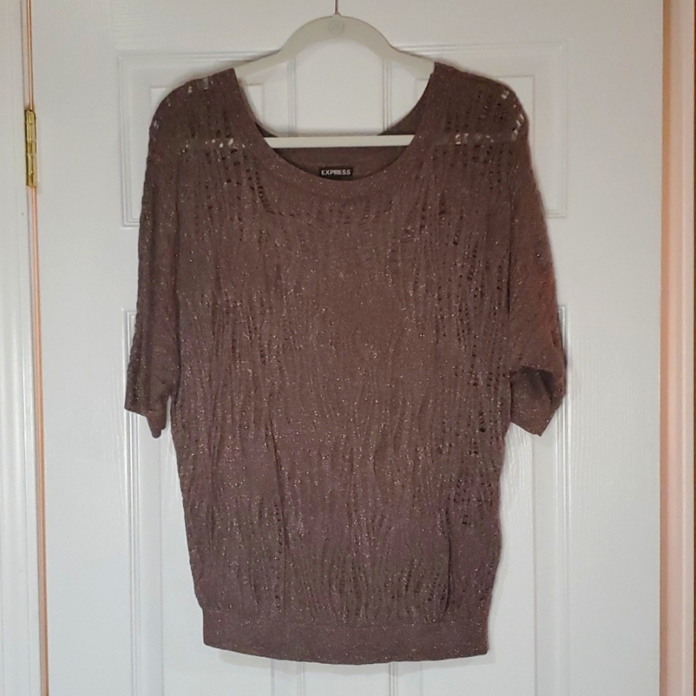 Express bronze shimmery sweater - Size Large